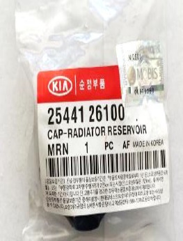 TAPA PLASTICA DEL DEPOSITO DEL REFRIGERANTE HYUNDAI ACCENT / KIA RIO